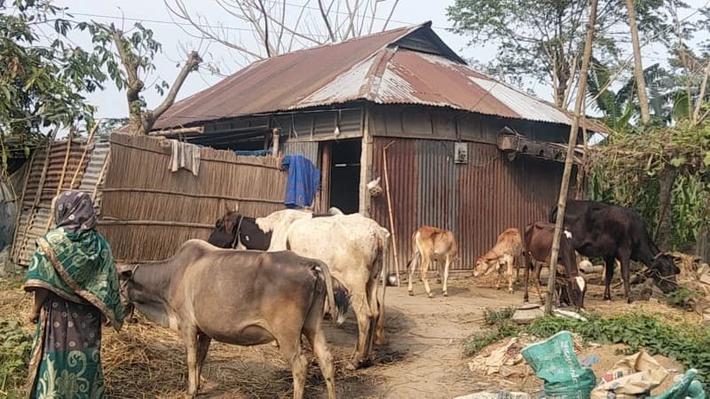 মাদারগঞ্জে কৃষকের জমি দখলের চেষ্টা ও প্রাণনাশের হুমকির অভিযোগ