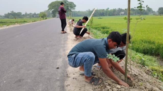 সড়কে তরুণদের সবুজ উদ্যোগ: মুরাদনগরে ২০০ বৃক্ষ রোপণ