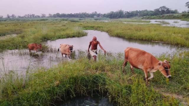 মুরাদনগরে দখলবন্দী খাল, পুনঃখননে কৃষিতে সম্ভাবনার নতুন দ...