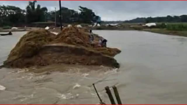 সুনামগঞ্জে বাঁধ ভেঙে হাওরে পানি, ডুবছে ফসল