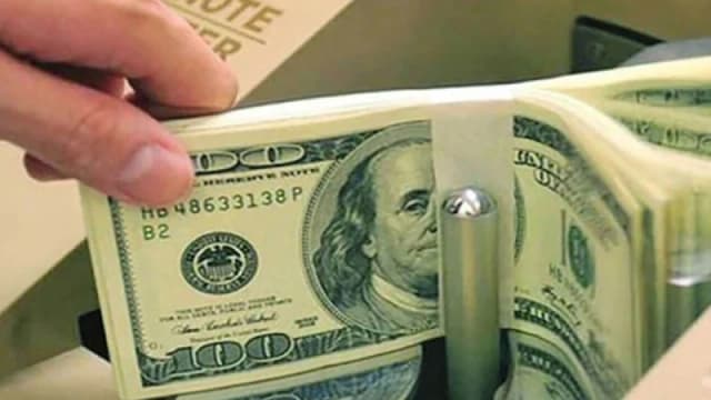 ২৮ দিনে রেমিট্যান্স এলো ২৯১ কোটি...