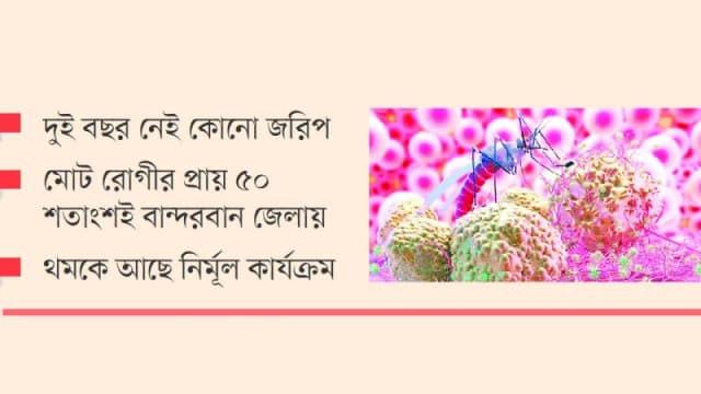 ফের চোখ রাঙাচ্ছে ম্যালেরিয়া