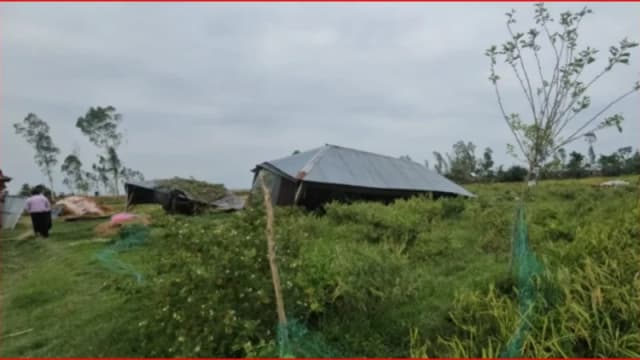 কালবৈশাখীর তাণ্ডবে লণ্ডভণ্ড গাইবান্ধা, আশ্রয়হীন শতাধিক প...
