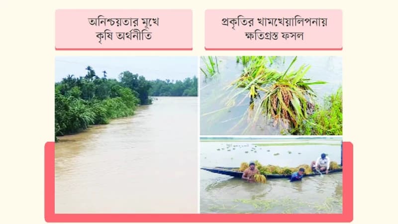 জলবায়ু সংকটে বিপন্ন কৃষি