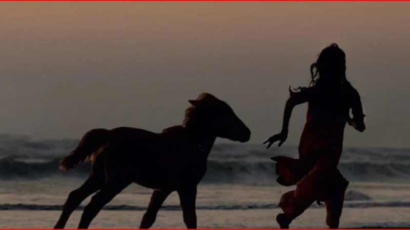 ৭৯তম কান চলচ্চিত্র উৎসবে বাংলাদে...