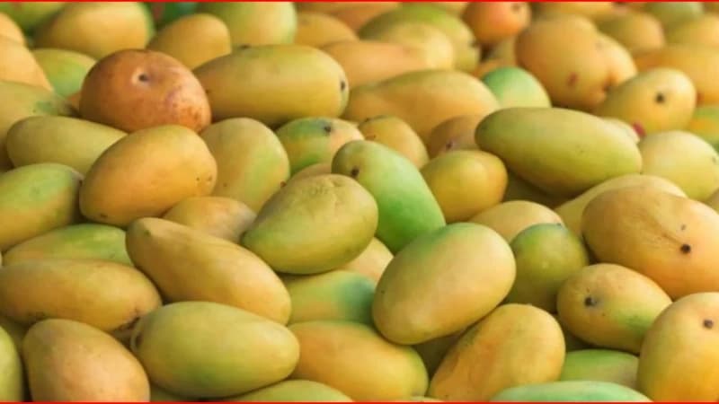 ফ্রিজ ছাড়াই কয়েকদিন ভালো থাকবে আম, জানুন সংরক্ষণের কার্যকর উপায়