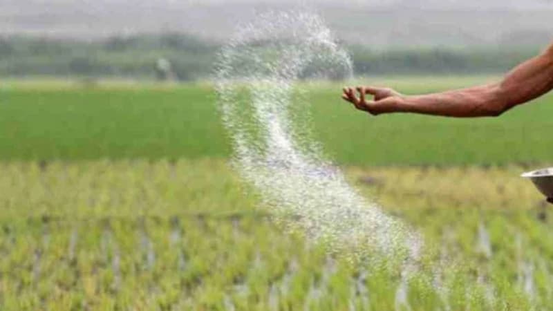 ৭০৪ কোটি টাকা ব্যয়ে ৮০ হাজার টন সার কিনবে সরকার