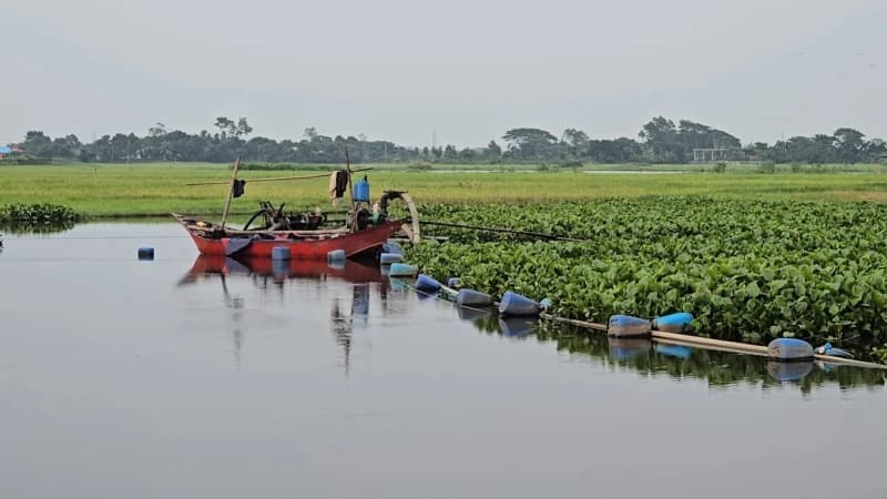মুরাদনগরে ড্রেজারের দাপটে কমছে তিন ফসলি জমি, ক্ষতিগ্রস্ত দরদরিয়া খাল