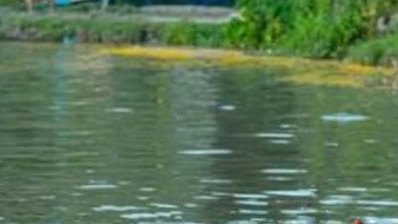 পার্বতীপুরে নদীতে গোসল করতে নেমে একই পরিবারের তিনজ...