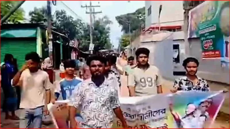 কার্যক্রম নিষিদ্ধ যুবলীগের ঝটিকা মিছিল, ভিডিও ঘিরে শ্রীপ...