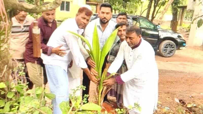 পটিয়ার আশিয়ায় যুবদলের উদ্যোগে বৃক্ষরোপণ কর্মসূচি অ...