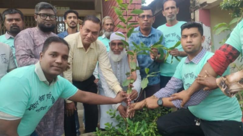 পটিয়ার ১৭ ইউনিয়নে শহীদ জিয়া স্মৃতি সংসদের বৃক্ষরোপ...