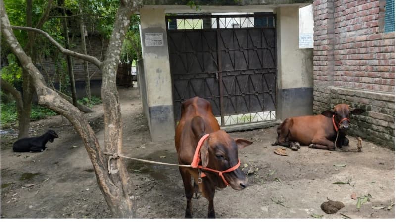 চারঘাটে কমিউনিটি ক্লিনিক: কাগজে স্বাস্থ্যসেবা, বাস...