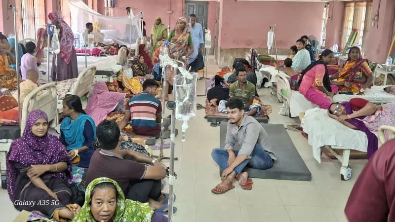 শার্শায় বাড়ছে ডেঙ্গু রোগী, চিকিৎসক সংকটে ব্যাহত চিকিৎসাস...