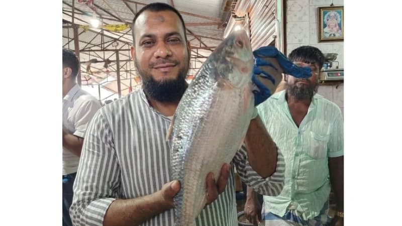 হাতিয়ায় ধরা পড়ল ৩ কেজি ৭০০ গ্রাম ওজনের ইলিশ