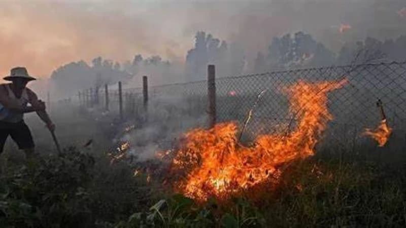 আলজেরিয়ায় দাবানল ছড়িয়ে পড়ে নিহত কমপক্ষে ৩৪ জন