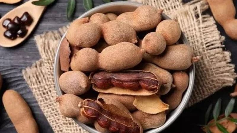 তেঁতুলের ঔষধি বৈশিষ্ট্য