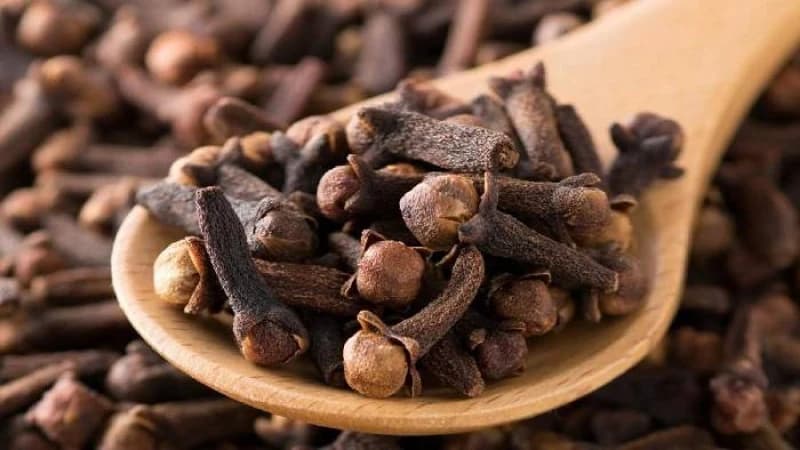লবঙ্গ খাওয়ার উপকারিতা ও ব্যবহারের নিয়ম