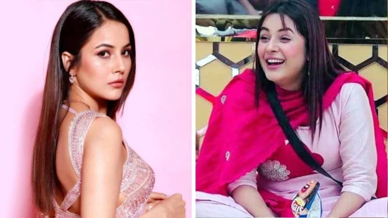 ওজন কমিয়ে বলিউডে অভিষেক শেহনাজ গিলের