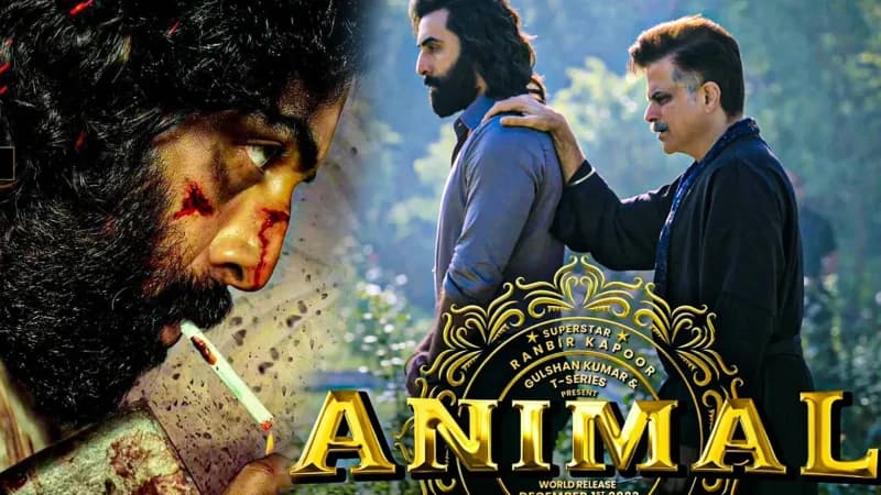 ওটিটিতে ‘অ্যানিমেল’ মুক্তি নিয়ে জটিলতা! দিল্লি হাইকোর্টে মামলা 