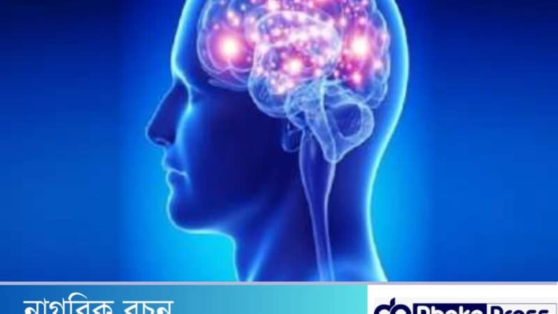 মস্তিষ্কের ক্ষতি করে যেসব বদঅভ্যাস