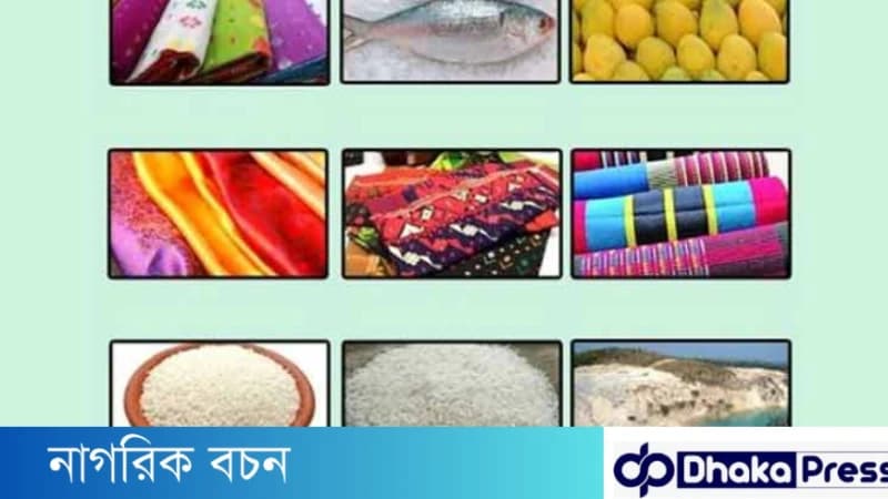 জিআই  কি ? যে প্রতিষ্ঠান  জিআই  পণ্যের অনুমোদন দেয়