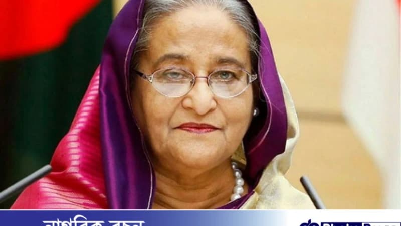 বঙ্গবন্ধুর জন্মবার্ষিকী: আওয়ামী লীগের আলোচনা সভায় প্রধানমন্ত্রীর উপস্থিতি