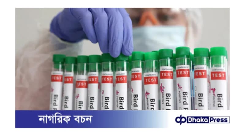 পশ্চিমবঙ্গে ৪ বছরের শিশুর শরীরে বার্ড ফ্লু শনাক্ত