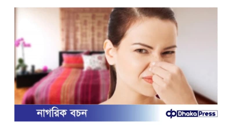 ঘরের গুমট ভাবের পাশাপাশি ভাপসা গন্ধ দূর করতে করনীয়