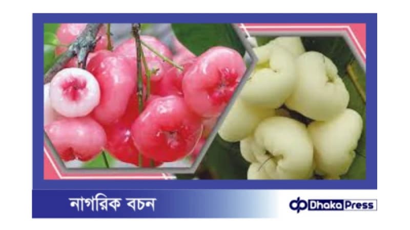 জামরুলের স্বাস্থ্য উপকারিতা: