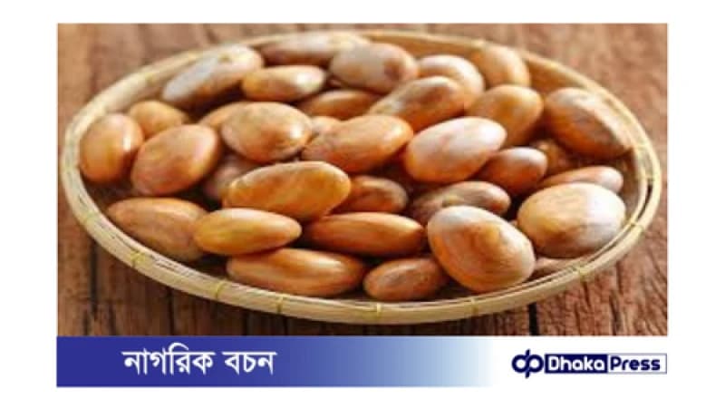 কাঁঠালের বীজ: অবহেলিত রত্ন কাঁঠালের বীজ: অবহেলিত রত্ন