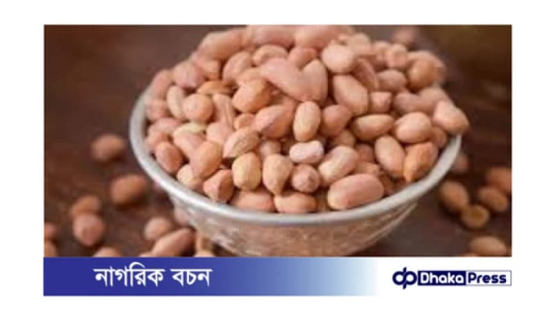 চিনাবাদাম: হৃদরোগ প্রতিরোধে এক অমূল্য উপহার চিনাবাদাম: হৃদরোগ প্রতিরোধে এক অমূল্য উপহার