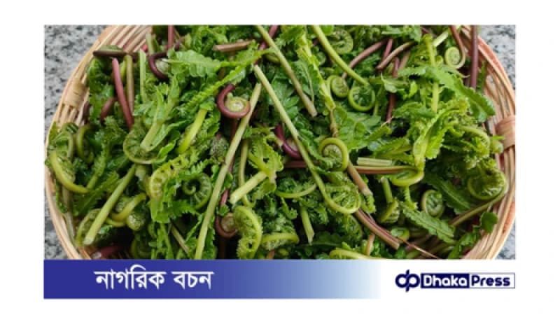 ঢেঁকি শাক: স্বাস্থ্যের ভান্ডার ঢেঁকি শাক: স্বাস্থ্যের ভান্ডার