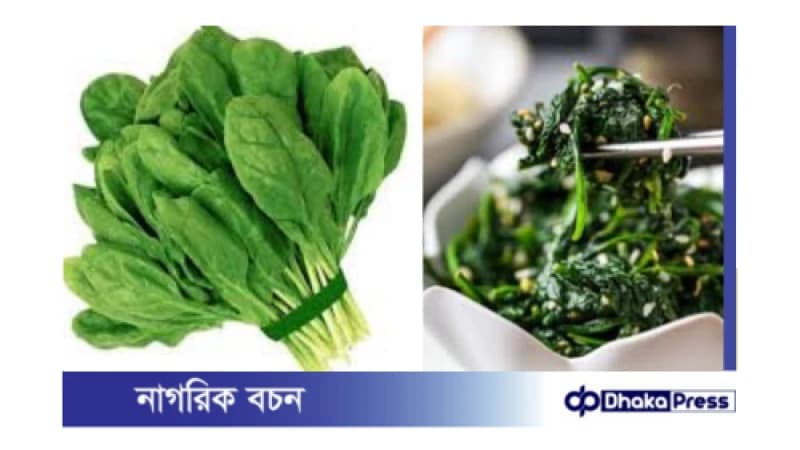 কোরিয়ান স্টাইলে পালংশাকের সুস্বাদু কিমচি স্যালাড কোরিয়ান স্টাইলে পালংশাকের সুস্বাদু কিমচি স্যালাড