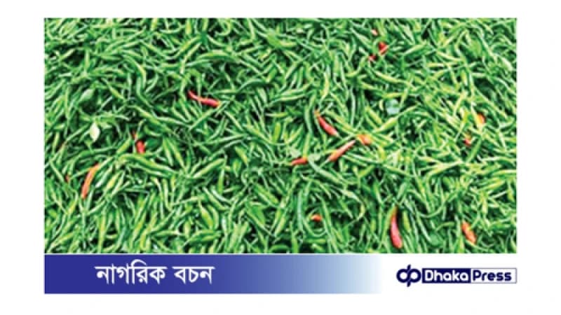 চট্টগ্রামে কাঁচামরিচের দাম আকাশচুম্বী: বন্যার কারণে সরবরাহ সংকট চট্টগ্রামে কাঁচামরিচের দাম আকাশচুম্বী: বন্যার কারণে সরবরাহ সংকট