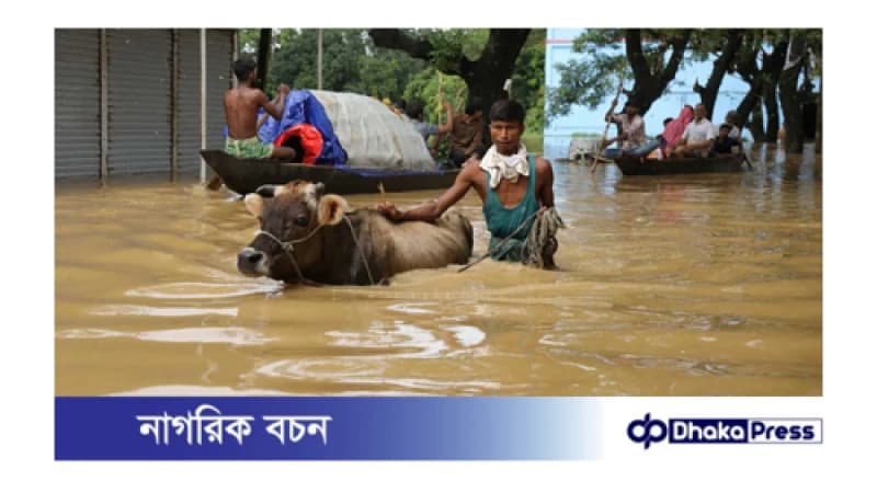 নোয়াখালীতে অপরিবর্তিত বন্যা পরিস্থিতি, ত্রাণ পৌঁছায়নি দুর্গম এলাকায় নোয়াখালীতে অপরিবর্তিত বন্যা পরিস্থিতি, ত্রাণ পৌঁছায়নি দুর্গম এলাকায়