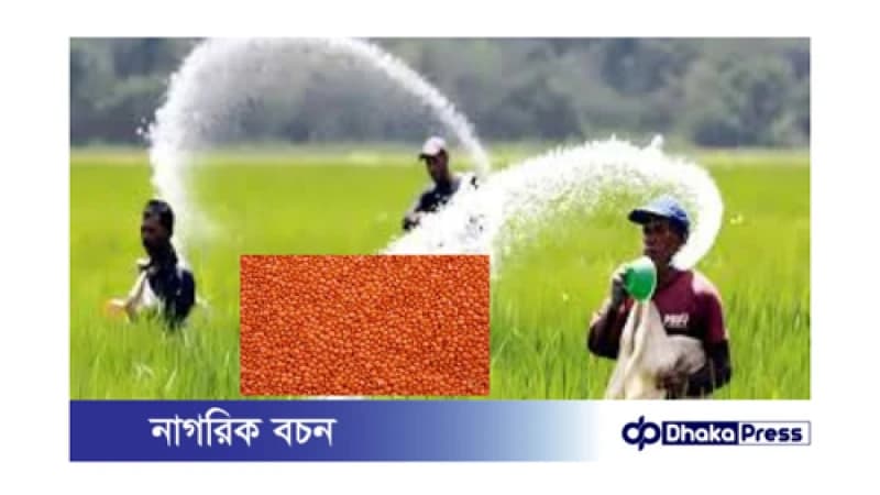 সরকার কিনবে ৯০ হাজার টন সার ও ২০ হাজার টন ডাল সরকার কিনবে ৯০ হাজার টন সার ও ২০ হাজার টন ডাল