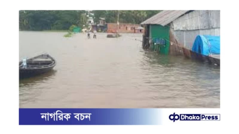 চাঁদপুরের ভয়াবহ জলাবদ্ধতা: কৃষি ও মাছচাষে বিপুল ক্ষতি চাঁদপুরের ভয়াবহ জলাবদ্ধতা: কৃষি ও মাছচাষে বিপুল ক্ষতি