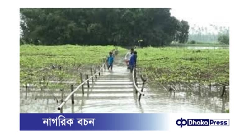 বাগেরহাটের বন্যা: কৃষকেরা চরম বিপাকে বাগেরহাটের বন্যা: কৃষকেরা চরম বিপাকে