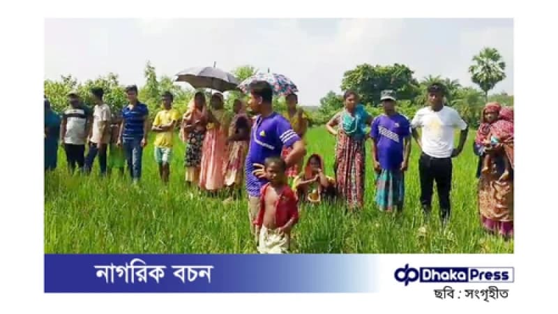 বিরামপুরে ধানক্ষেতে অজ্ঞাত নারীর মরদেহ উদ্ধার বিরামপুরে ধানক্ষেতে অজ্ঞাত নারীর মরদেহ উদ্ধার
