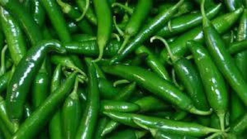 হিলিতে কাঁচা মরিচের দাম আকাশচুম্বী: সাধারণ মানুষের জ্বালা হিলিতে কাঁচা মরিচের দাম আকাশচুম্বী: সাধারণ মানুষের জ্বালা