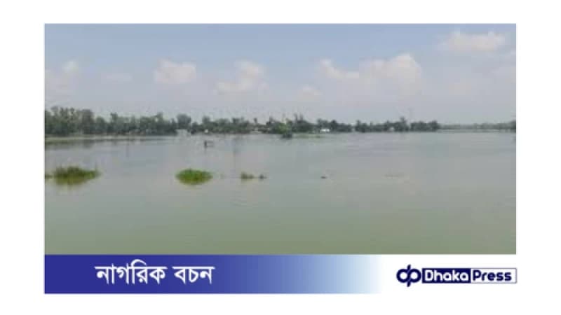 বগুড়া সারিয়াকান্দিতে নদীগুলোর পানি বৃদ্ধির ফলে ক্ষতিগ্রস্ত কৃষিজমি বগুড়া সারিয়াকান্দিতে নদীগুলোর পানি বৃদ্ধির ফলে ক্ষতিগ্রস্ত কৃষিজমি