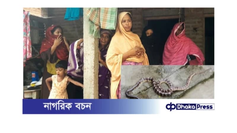 বড়াইগ্রামে বাবার বাড়িতে বেড়াতে এসে কেউটে সাপের কামড়ে গৃহবধূর মৃত্যু বড়াইগ্রামে বাবার বাড়িতে বেড়াতে এসে কেউটে সাপের কামড়ে গৃহবধূর মৃত্যু