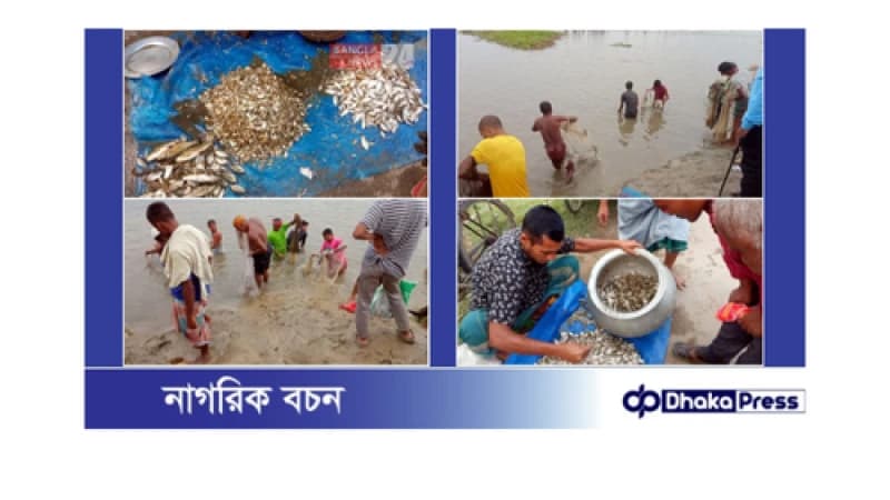 ঠাকুরগাঁওয়ের বুড়ির বাঁধে মাছ ধরার উৎসব: এক জনসমুদ্রের সৃষ্টি ঠাকুরগাঁওয়ের বুড়ির বাঁধে মাছ ধরার উৎসব: এক জনসমুদ্রের সৃষ্টি