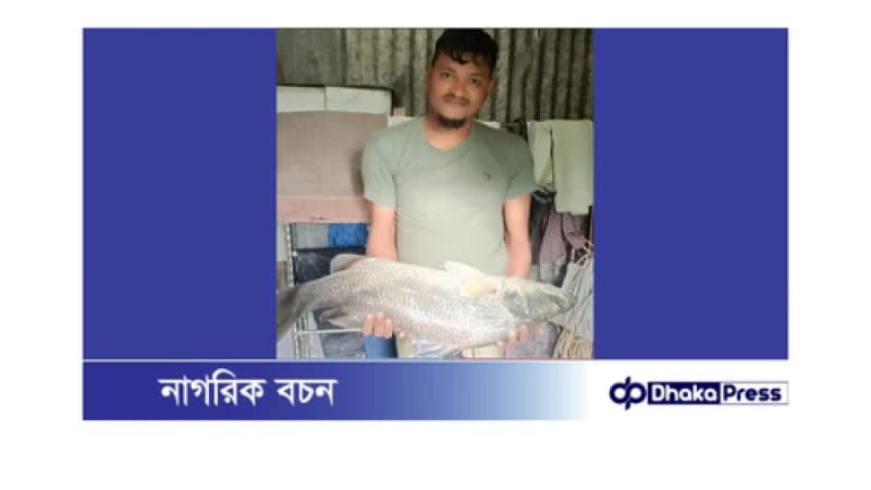কুয়াকাটায় ১০ কেজি ওজনের বিশাল কোরাল মাছ ধরা পড়ল কুয়াকাটায় ১০ কেজি ওজনের বিশাল কোরাল মাছ ধরা পড়ল