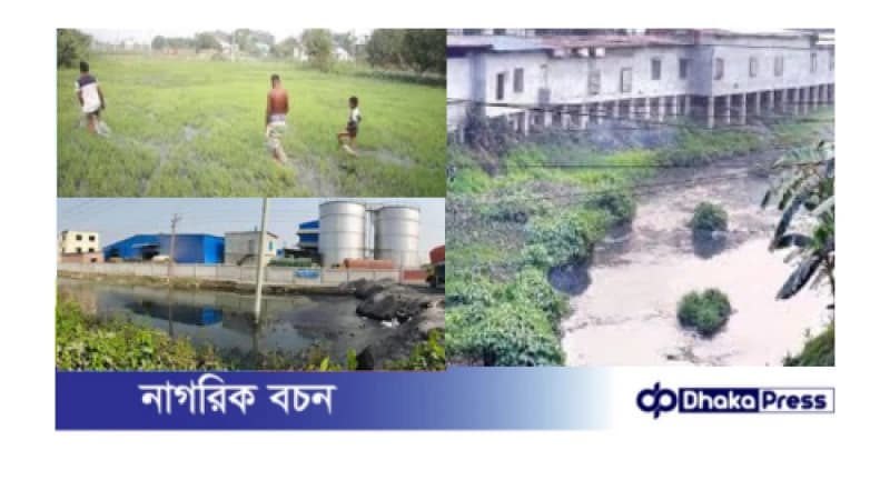 কৃষি জমিতে কারখানার বর্জ্য, বিপাকে কৃষক কৃষি জমিতে কারখানার বর্জ্য, বিপাকে কৃষক