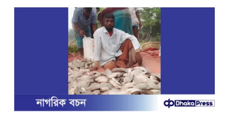দুস্কৃতিকারীদের বিষ প্রয়োগে মৎস্য খামারীর মাছ নিধন। ২০ লাখ টাকার ক্ষতি দুস্কৃতিকারীদের বিষ প্রয়োগে মৎস্য খামারীর মাছ নিধন। ২০ লাখ টাকার ক্ষতি