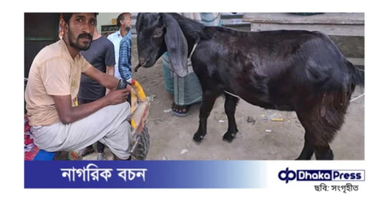 ছাগল চুরি করে পালানোর পথে পুলিশের হাতে ধরা যুবক ছাগল চুরি করে পালানোর পথে পুলিশের হাতে ধরা যুবক