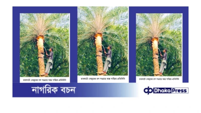 পদ্মার অপরুপ সৌন্দর্য বিধৌত চারঘাটে খেজুরের রস সংগ্রহে করে গুড় তৈরীতে ব্যস্ত গাছিরা পদ্মার অপরুপ সৌন্দর্য বিধৌত চারঘাটে খেজুরের রস সংগ্রহে করে গুড় তৈরীতে ব্যস্ত গাছিরা