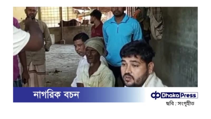 অস্ত্র ঠেকিয়ে পটিয়ায় ২১ গরু লুট, আহত ৩ অস্ত্র ঠেকিয়ে পটিয়ায় ২১ গরু লুট, আহত ৩
